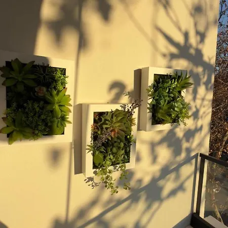 Urban Lotus , Self Check-in * Tiran